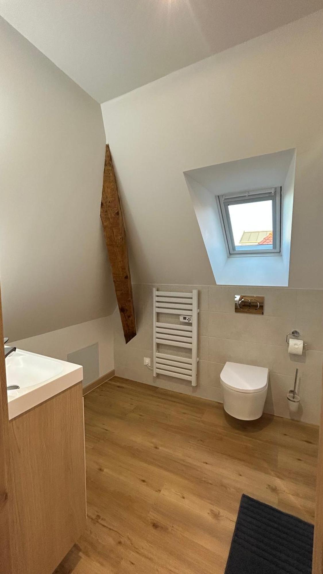 Appartement Moderne Et Spacieux, A 10 Min De La Gare Colmar Eksteriør billede