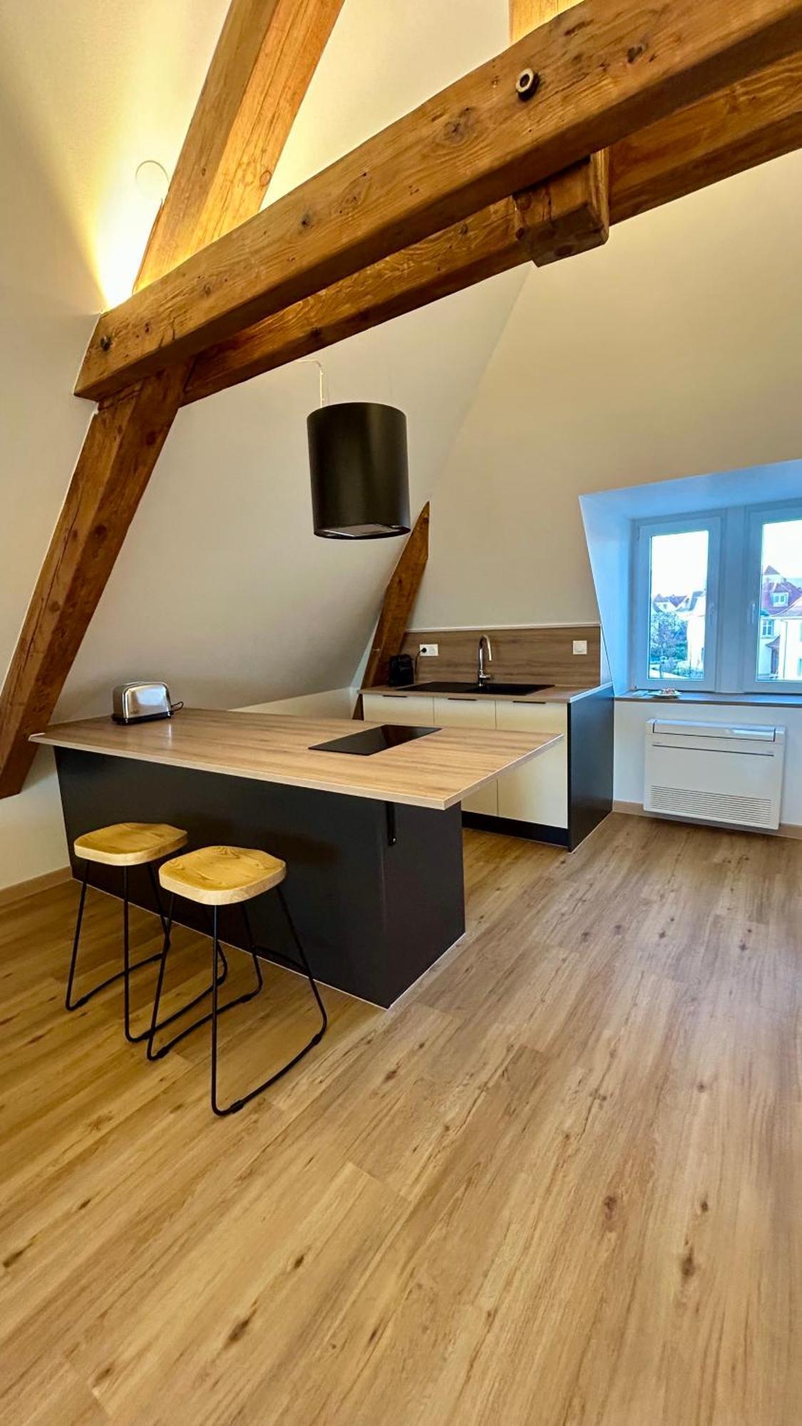 Appartement Moderne Et Spacieux, A 10 Min De La Gare Colmar Eksteriør billede