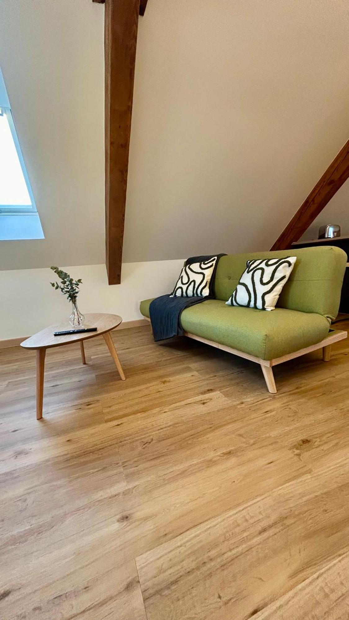 Appartement Moderne Et Spacieux, A 10 Min De La Gare Colmar Eksteriør billede